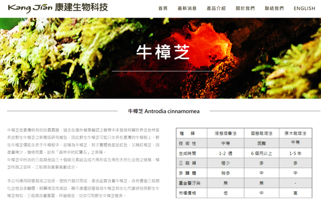 康健用固态栽培技术，歷时六个月产出高品质牛樟芝，含有优值三萜类化合物及多醣体，经药理活性测试，显示其牛樟芝生化代谢途径与野生牛樟芝相似。（翻摄自康健科技官网）