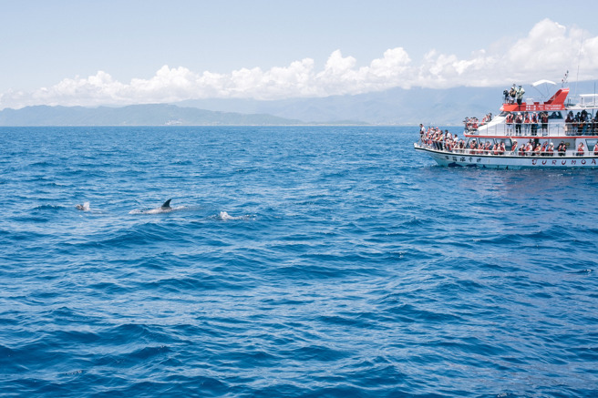赏鲸行程朝生态保育转型，以不过度干扰为原则。（翻摄多罗满脸书）
