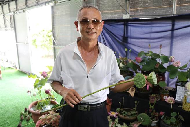 農友劉鴻鵡分享罕見的並蒂蓮。（蔡明亘攝）