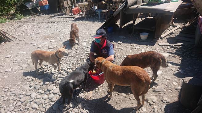 花莲县动植物防疫所人员到狗园关切狗儿状况。（花莲县府农业处提供）