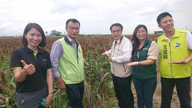 台南市长黄伟哲（右三）与农委会主委陈吉仲（左二）走入高粱田中，将致力提升高粱种植面积。（程炳璋摄）
