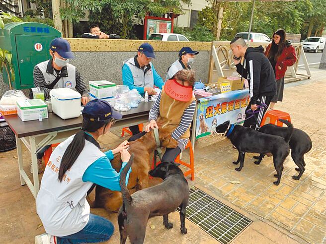 花莲县府定期为猫狗、绝育、植入晶片，防止流浪犬数量窜升。（本报资料照片／王志伟花莲传真）