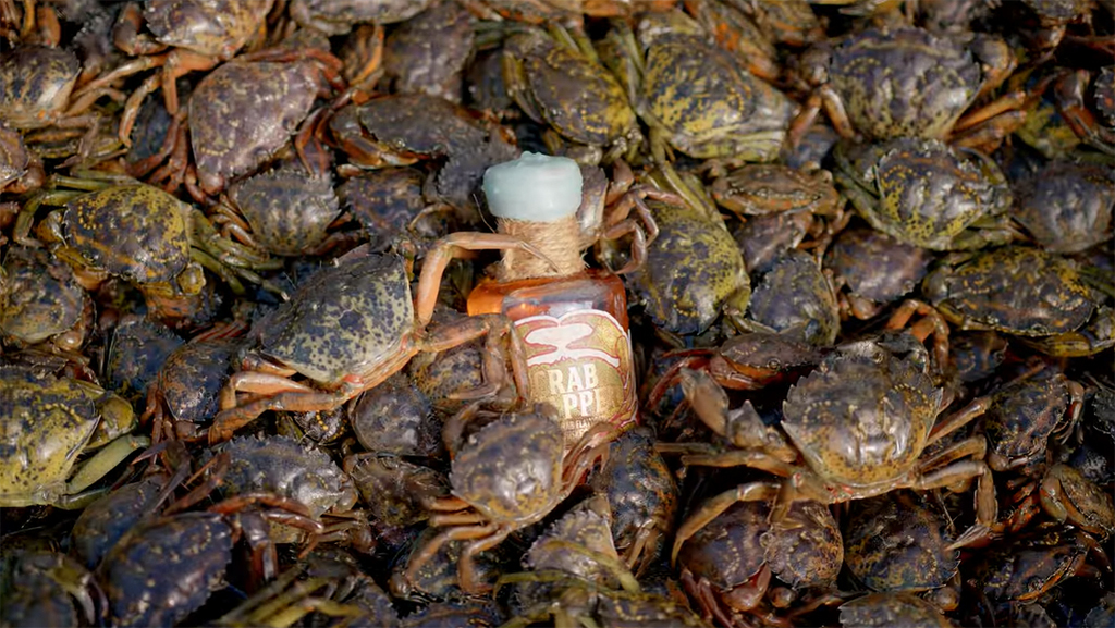 美國新罕布夏州遭到外來種螃蟹大舉入侵，酒廠乾脆將牠們釀成威士忌。（圖片翻攝自YouTube/Tamworth Distilling）