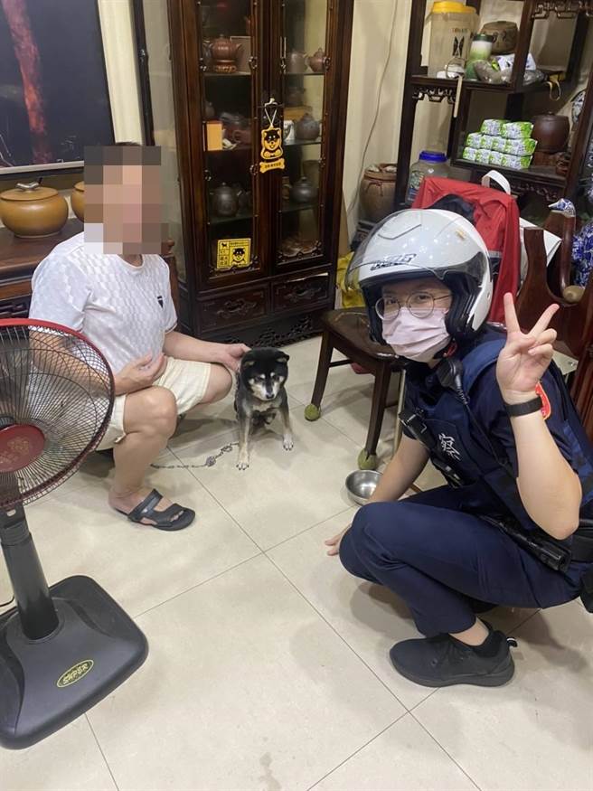 柴犬街头乱窜，下班女警被「遛」半小时。(翻摄照片／蔡依珍桃园传真)