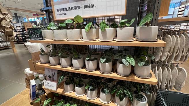 无印良品特地选择使用「水库淤泥改质技术」制作的「乐土 」盆器，取自阿公店水库的淤泥。（柯宗纬摄）