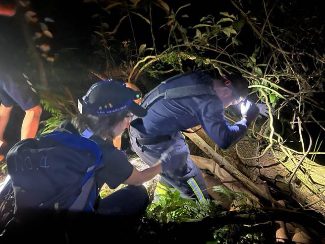 孙男被发现时躺在树干下。（警方提供／李奇叡新北传真）