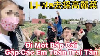 越南選美皇后拍片宣傳免仲介打工集團 遭移民署盯上下場慘了