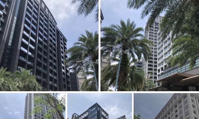 陈朝平》温泉乡热闹极了——再访礁溪有感（照片来源：作者提供）