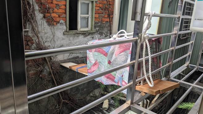 小猫受困的空间难以接近，只能用木板跟诱捕笼进行救援。（新北市动保处提供）