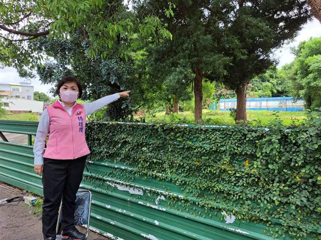 月眉糖厂园区设立住宿型长照中心，目前园区内的老树将获得保留。(陈世宗摄)