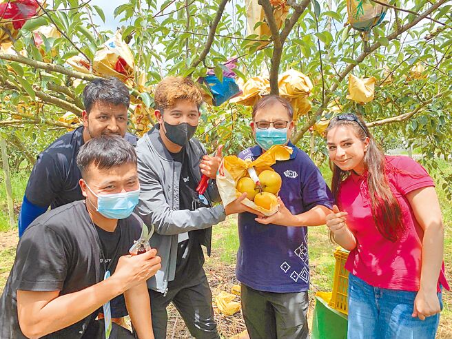 来自10个国家的16名国际学生，开心到东势採梨子，深入了解台湾农特产品。（参山处提供／陈淑娥台中传真）