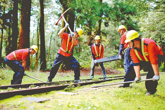 阿里山林业铁路42号隧道明年4月完工后，林铁及文资处道班工务人员就会进场铺设轨道。（林铁及文资处提供／吕妍庭嘉义传真）