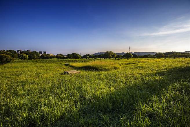 竹东河滨公园前后2个生态池「破洞」无法蓄水，仍是「青青草原」。（罗浚滨摄）