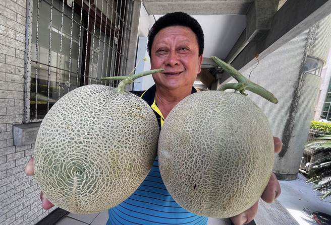 台东县关山镇电光里的哈蜜瓜进入盛产期，县议员陈宏宗帮农民卖瓜。（庄哲权摄）