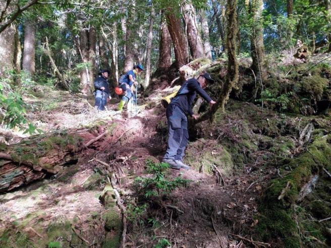 林姓背工在戒茂斯山失踪进入第5天，多个民间团体加入搜救，来自捷克的「跑山兽」罗培德（PetrNovotny）无法加入搜救行列，仍将相关讯息提供给台东搜救团体参考。（图/ 中央社）