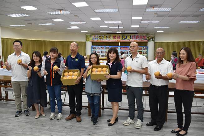 苗栗县2022年秋黄梨评鑑比赛，20日上午在头份市农会举行，总干事罗清香等展示来自大湖的冠军秋黄梨。（谢明俊摄）