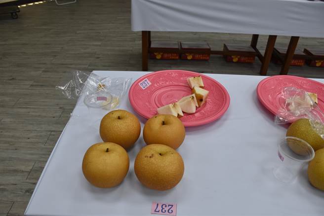 苗栗县2022年秋黄梨评鑑比赛，20日上午在头份市农会举行，拿下梨王头衔的秋黄梨。（谢明俊摄）