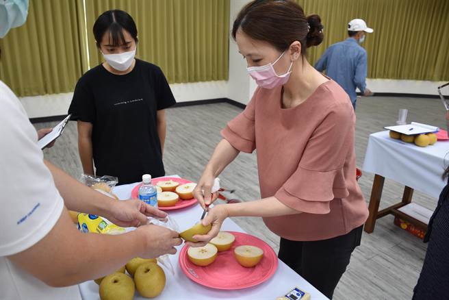 苗栗县2022年秋黄梨评鑑比赛，20日上午在头份市农会举行，苗栗农改场助理研究员张雅玲进行甜度测试。（谢明俊摄）
