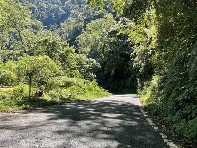 受到疫情趋缓及时序进入暑假，民眾纷纷规画往山区赏景、健行及避暑。（东势林管处提供）