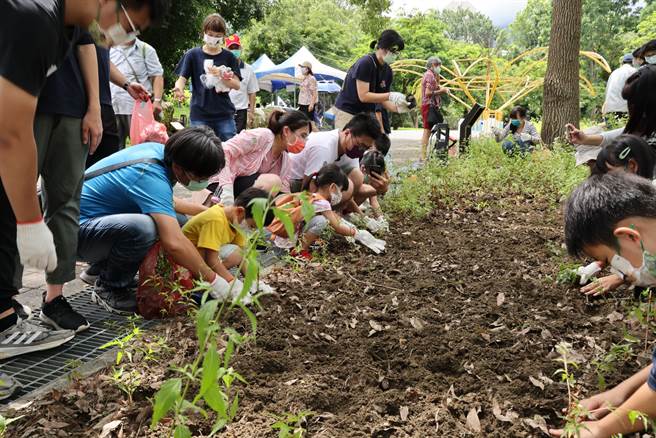 「蝴蝶游乐园」活动中，参加民眾在岭顶公园种植蜜源植物。（台湾紫斑蝶生态保育协会提供／张毓翎台南传真）