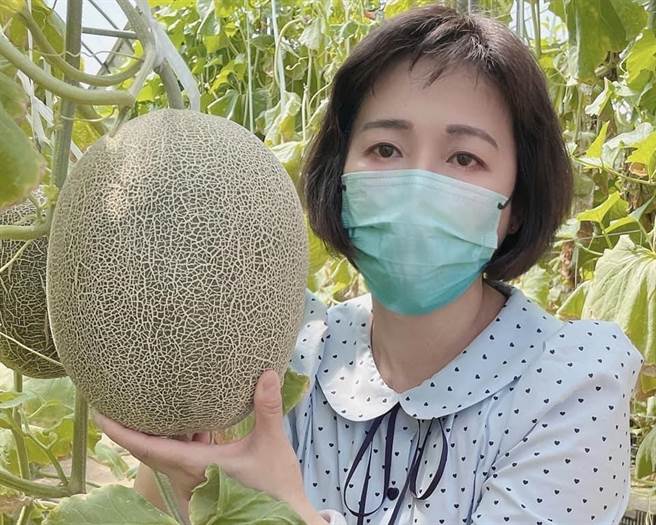 番路鄉女青農江曉琪種出的洋香瓜不僅滋味甜美，個頭快比人頭大。（番路鄉農會提供∕呂妍庭嘉義傳真）