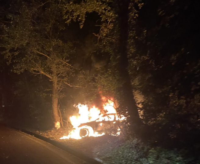 轮胎打滑撞树，火烧车，价值300多万元的奥迪瞬间烧成废铁。（图／民眾提供）