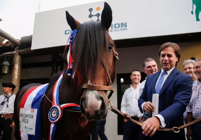 南方共同市场峰会在巴拉圭举行，阿根廷会中呼吁建立共同阵线，乌拉圭总统拉卡耶（Luis Lacalle Pou）则坚持自身立场，宣布乌拉圭和中国的代表会在「几天内」举行会议，展开自由贸易协定（FTA）谈判。(图／路透社)