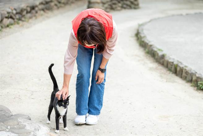 沈慧虹节目「慧虹的认真散步」21日晚上线，沈慧虹在影片中亲切路上猫咪打招呼，引发网友热议。（沈慧虹团队提供／王惠慧新竹传真）