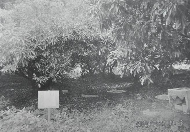 宋男賴交通罰單11萬餘元不繳，執行署台中分署查到他繼承1筆荔枝園土地，查封後請家屬轉告，他才火速繳清。（執行署台中分署提供／陳淑芬台中傳真）