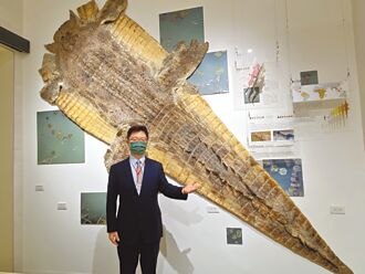 興大自然史博物館 4米鱷魚皮吸睛