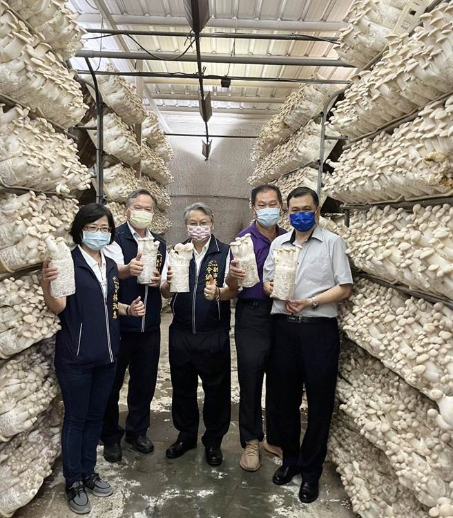 新社區香菇產量及產值居全台首位。（台中市政府提供）