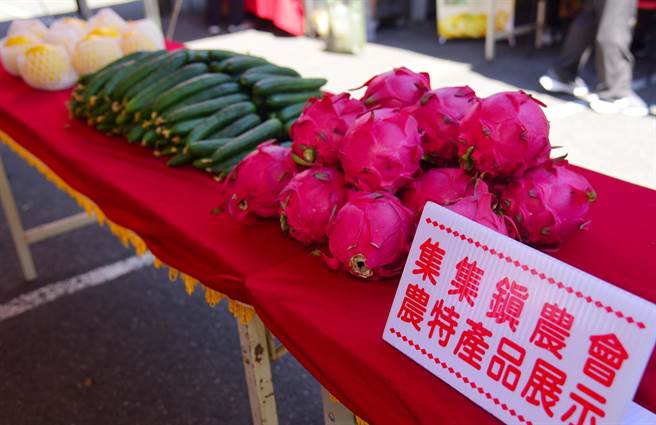 南投红龙果、香蕉热情上市，集集镇农会举办农特产品行销活动，县长林明溱、立委许淑华出席代言促销。（南投县府提供／陈淑芬南投传真）