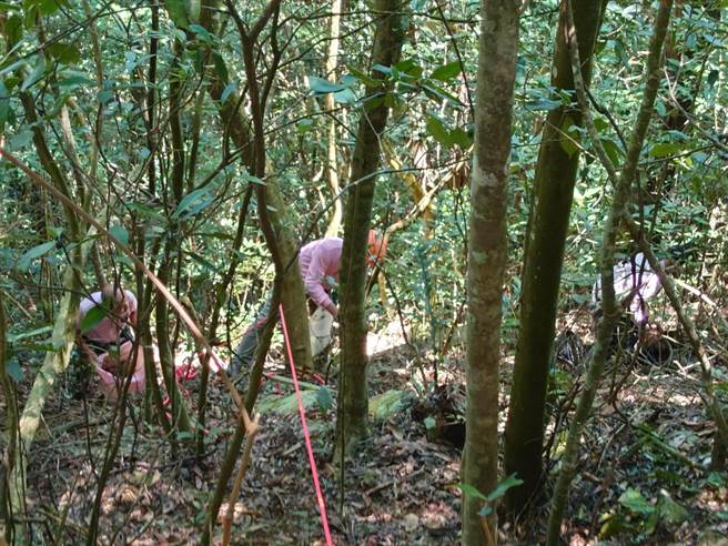 台中市山岳会以垂降方式，捡拾东卯山边坡垃圾。(东势林管处提供)