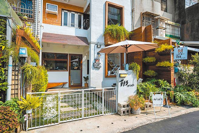 莫平方宠物咖啡厅拥有超高人气，假日吸引不少毛小孩家庭前来。（石智中摄）