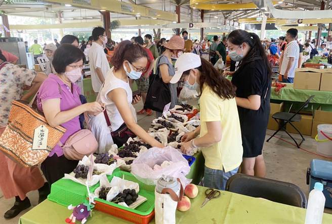 中市优质水蜜桃、葡萄、高接梨，昨、今两天在台北展售，欢迎民眾支持台中优质农产品。（台中市政府提供）