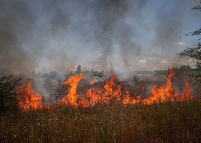 俄烏戰爭爆發迄今已近5個月。（圖/ 路透社）
