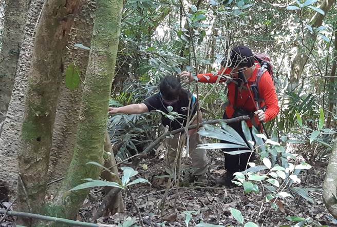 搜救人员接触王姓女山友迷途者，仅些微惊恐但意识清楚，予以心理支持后，引导往登山口方向下撤。（台中市消防局提供）