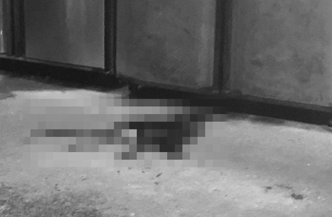 台中市潭子车站旁24日晚间惊传枪响！滷味摊老板遭开3枪头部中弹命危送医急救。（民眾提供）