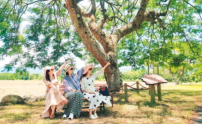 暑假期間到兆豐農場遊玩，除了賞美景，也可以在許願樹下寫出祈福盼望。圖／兆豐休閒農場提供