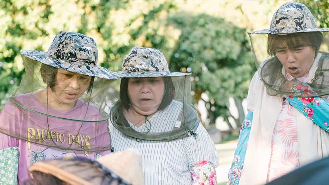 楊貴媚（左起）、鍾欣凌、嚴藝文下集將挑戰採蜂蜜任務。（桂田文化藝術基金會提供）