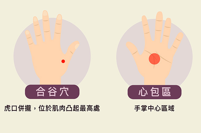 中医师建议可利用穴位按摩搭配精油使用，舒缓焦虑帮助好眠。（图/doTERRA提供）