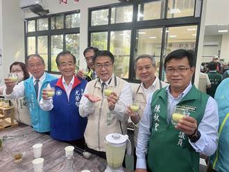 台南大內酪梨進入盛產期 今年產量多價格更親民