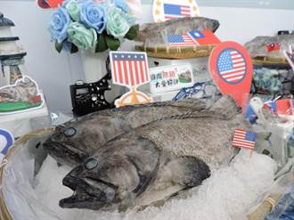 石斑魚銷至美國有信心 陳吉仲：外銷絕對遠超去年好幾倍