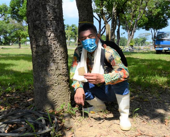 森林城市协会理事杨吉寿在高雄市中山大学仁武校区发现疑似平埔族遗址的陶器碎片。（林瑞益摄）