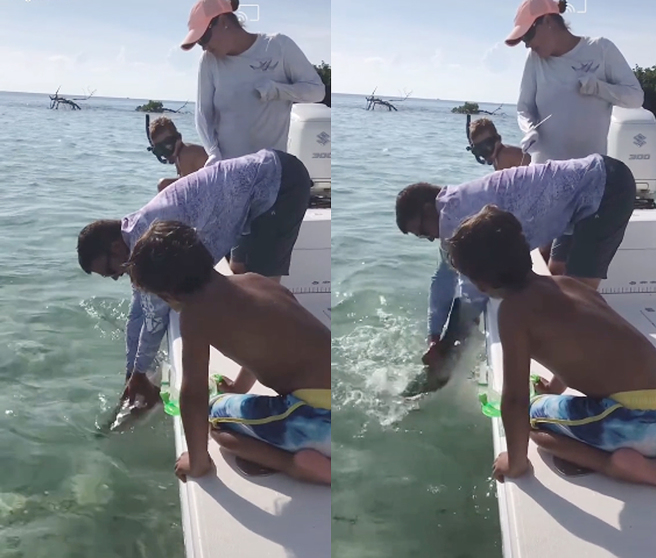 男子想在兒子面前炫技，不料卻因此激怒鯊魚，結果小指被硬生生咬斷。（圖／翻攝自抖音）