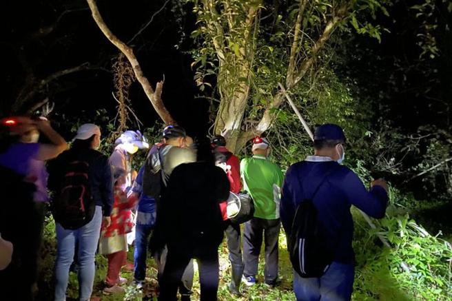 茂管处再次推出「宝来夜间生态导览」活动。　图：茂林国家风景区管理处／提供