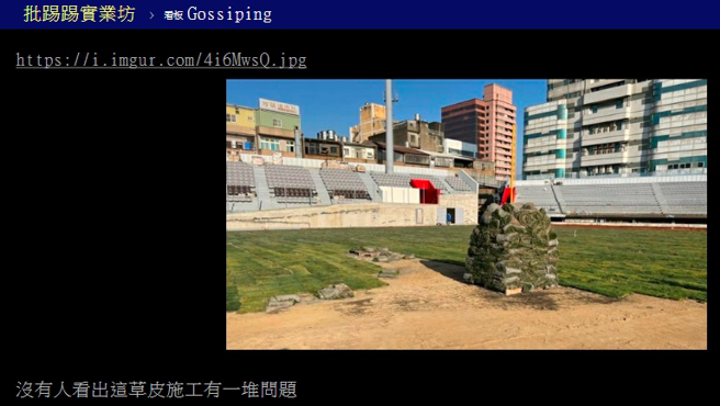 内行网友表示，竞赛型的运动草坪在弹性、排水、均质、缓衝以及养护作业上都有严格的标准。（图／撷取自PTT）