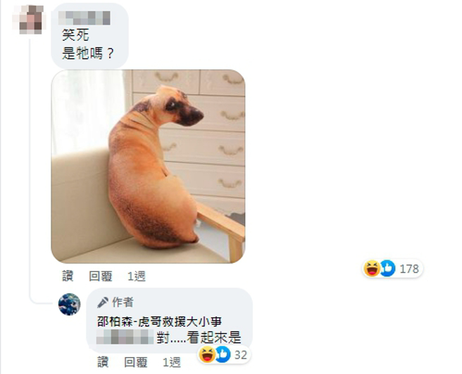 有網友貼出同款抱枕，外型十分逼真，狗狗的眼睛似乎在盯著人看。（圖／翻攝自邵柏森-虎哥救援大小事臉書）
