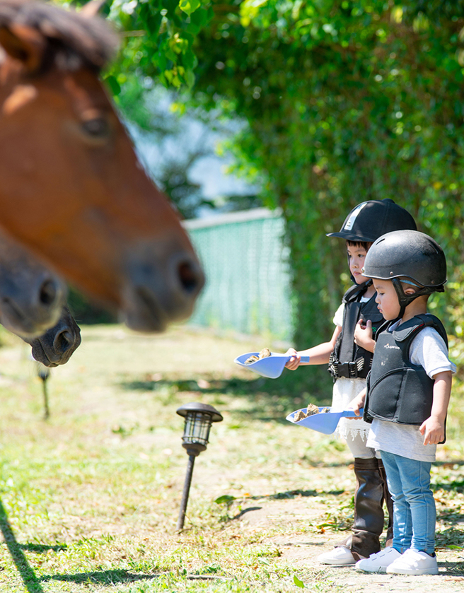 暑假親子遊 　遊艇、馬術、動畫主題任你玩。（圖/ 嬰兒與母親提供）
