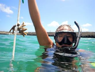 種植珊瑚復育海洋生態 新北「和美海之家」親水體驗31日開放報名
